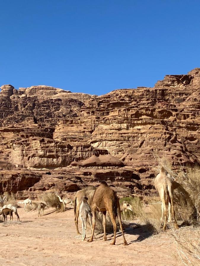 Rum Arjaan Luxury Camp Wadi Rum Buitenkant foto