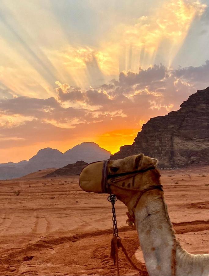 Rum Arjaan Luxury Camp Wadi Rum Buitenkant foto
